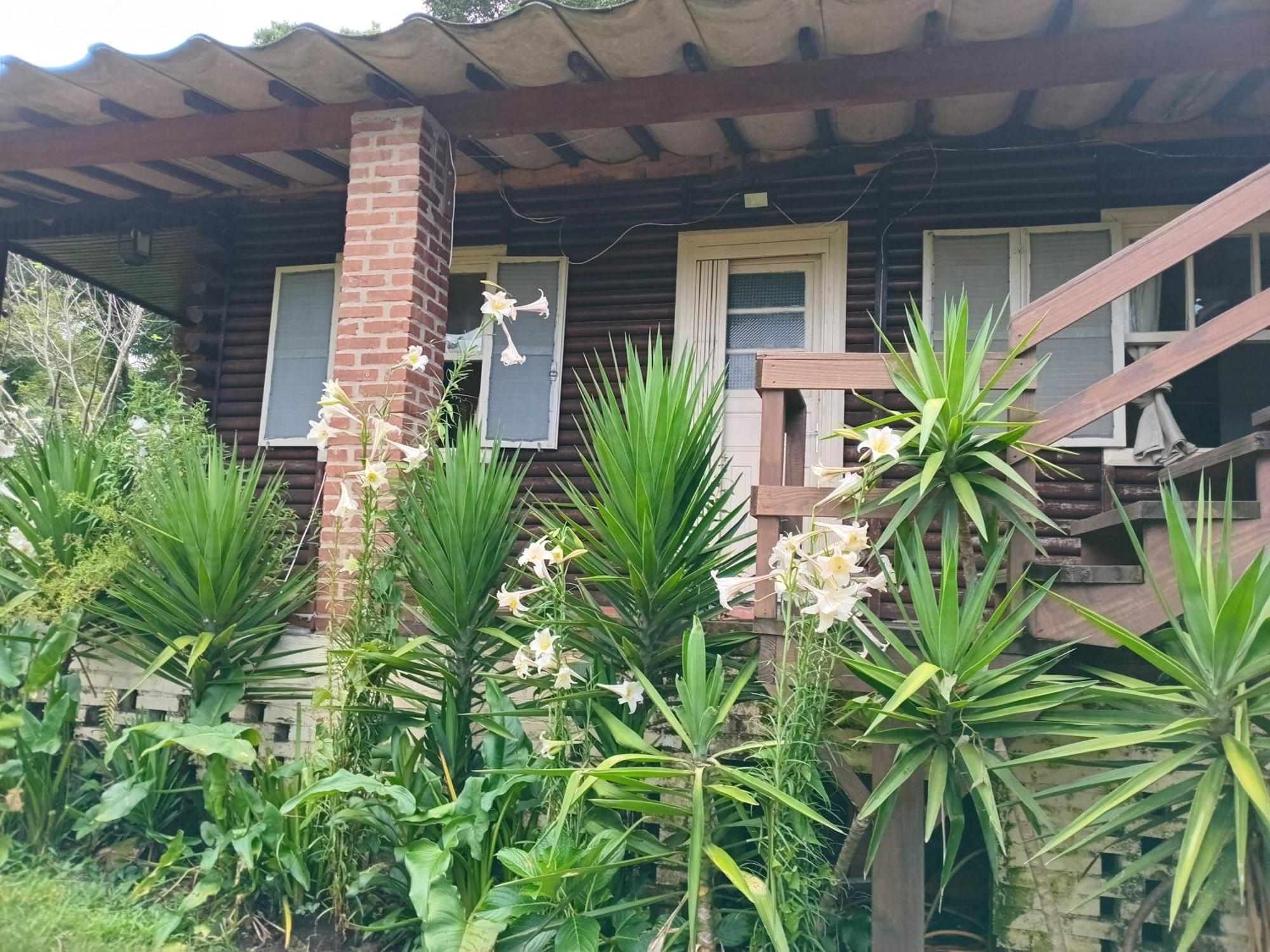 Chale Alpino Em Rs Todo Mobiliado Com Cozinha Lareira Split Wi-fi 2 Quartos Perto Do Centro